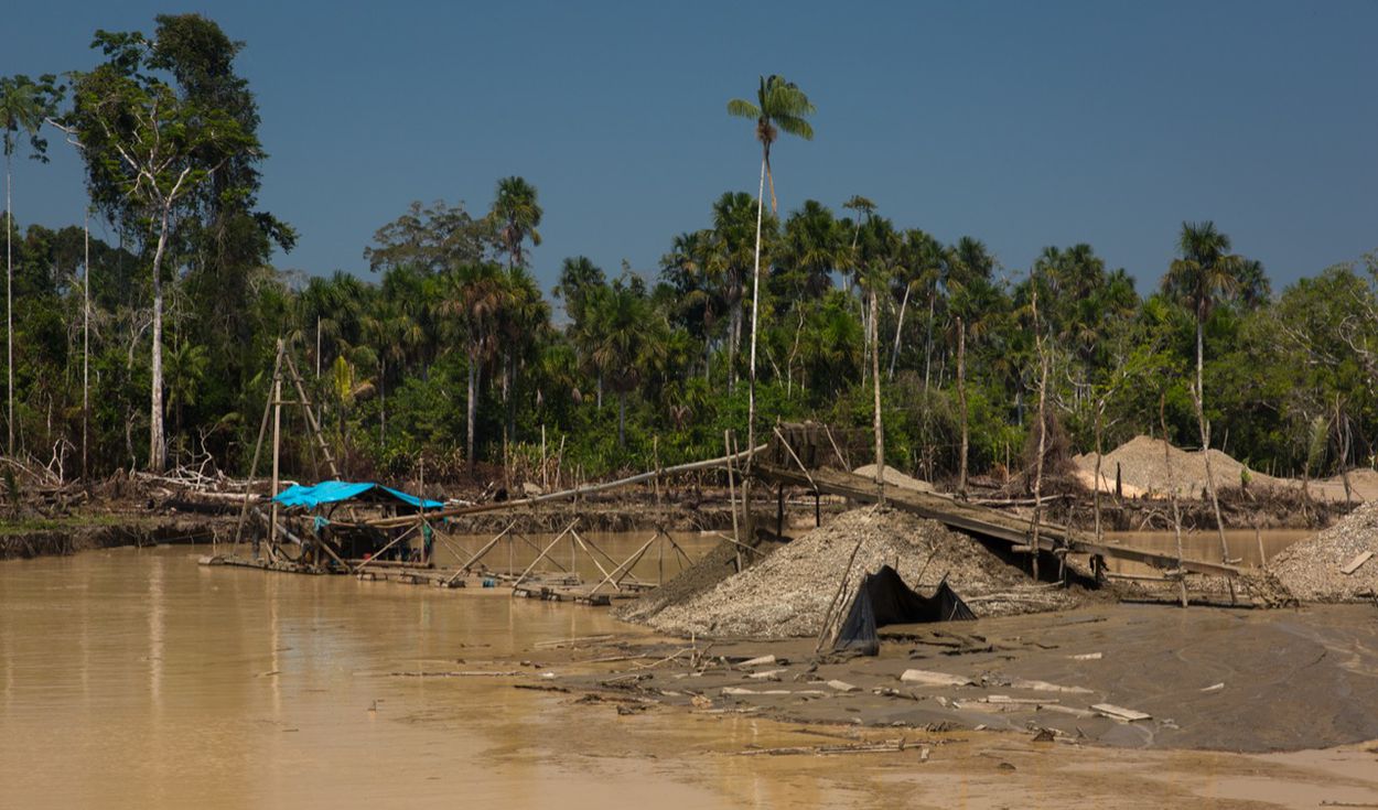 Conoce las consecuencias de los delitos ambientales en el Perú