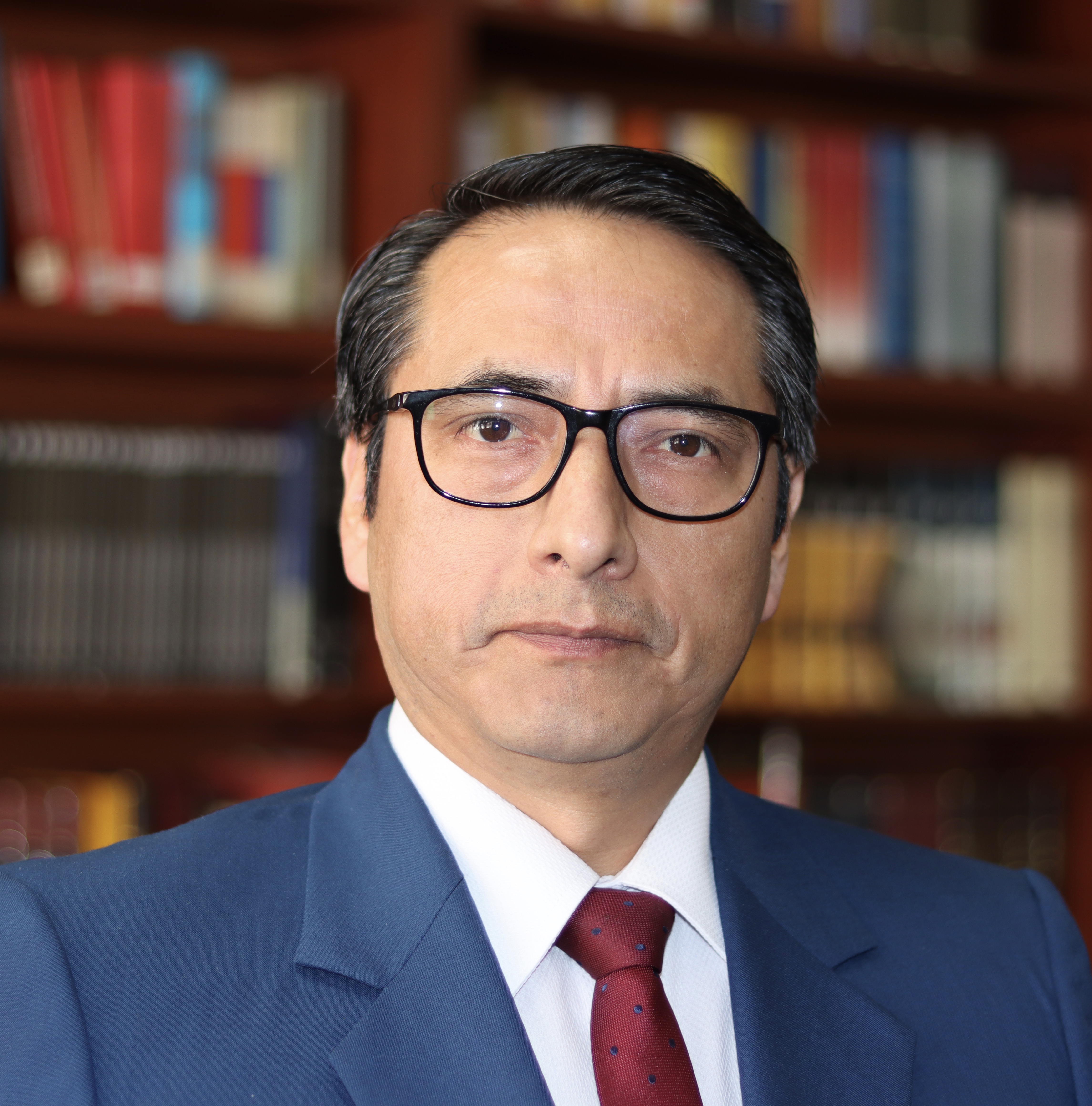 Prof. Dr. iur. Raúl Pariona Arana