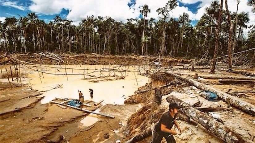 La minería ilegal como delito fuente del lavado de activos